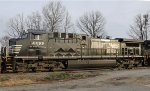 NS 4499